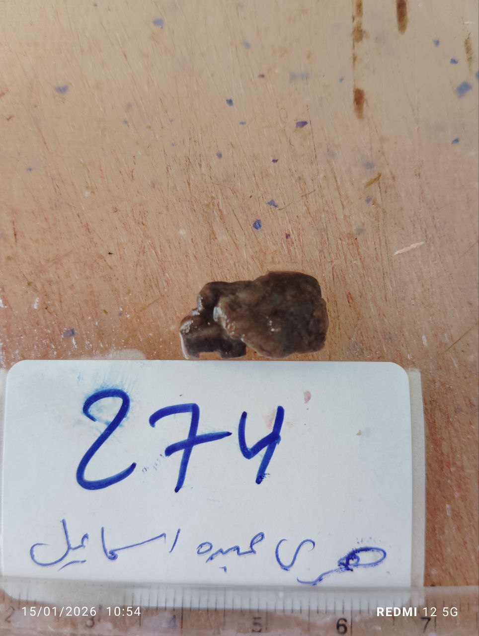 صورة التقرير