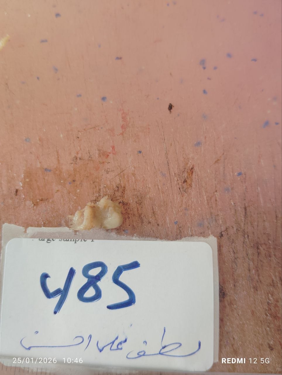 صورة التقرير