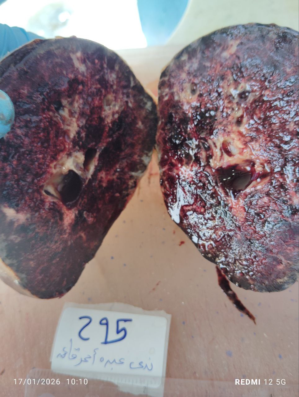 صورة التقرير