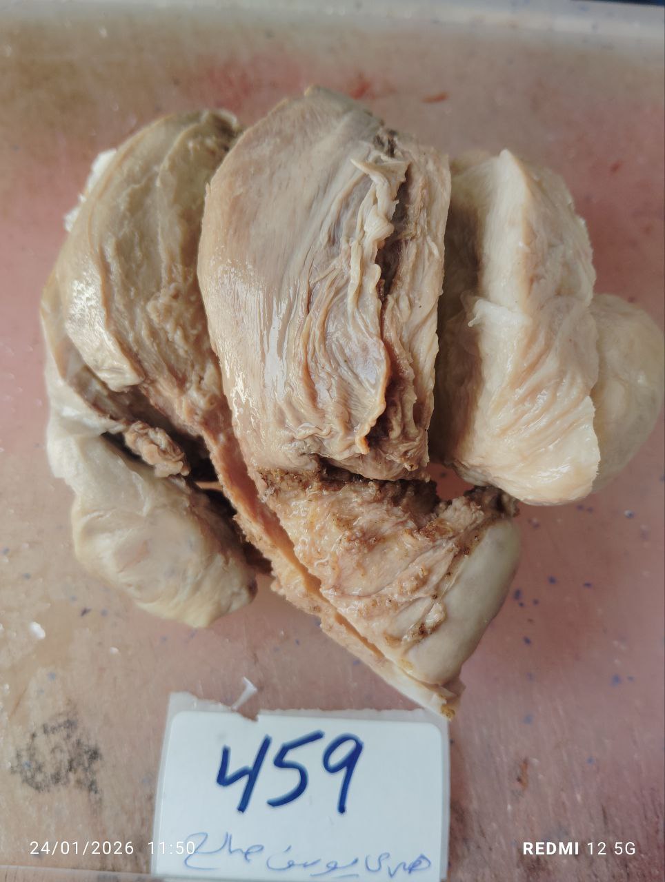 صورة التقرير