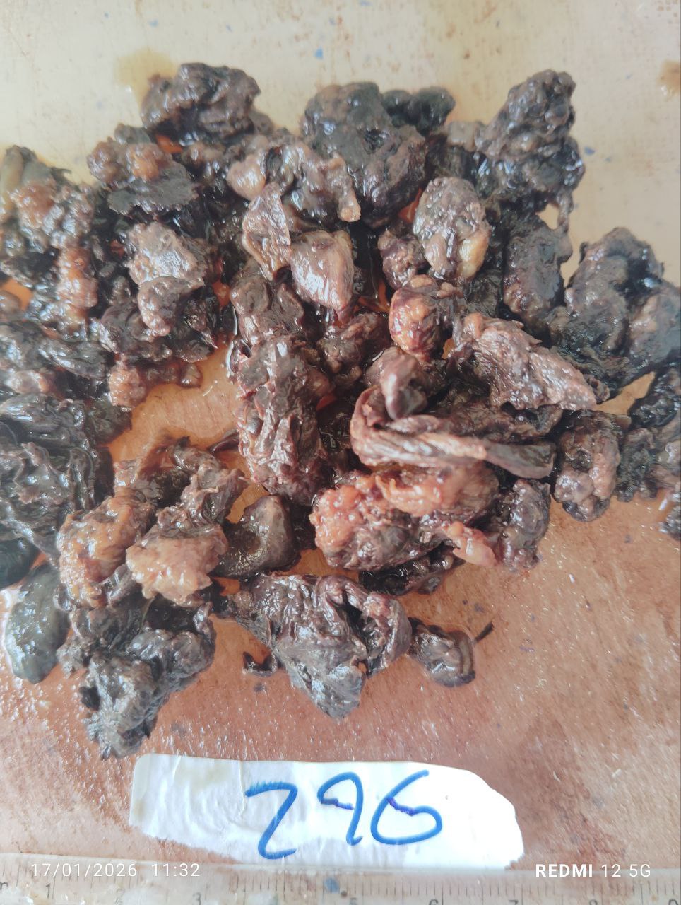 صورة التقرير