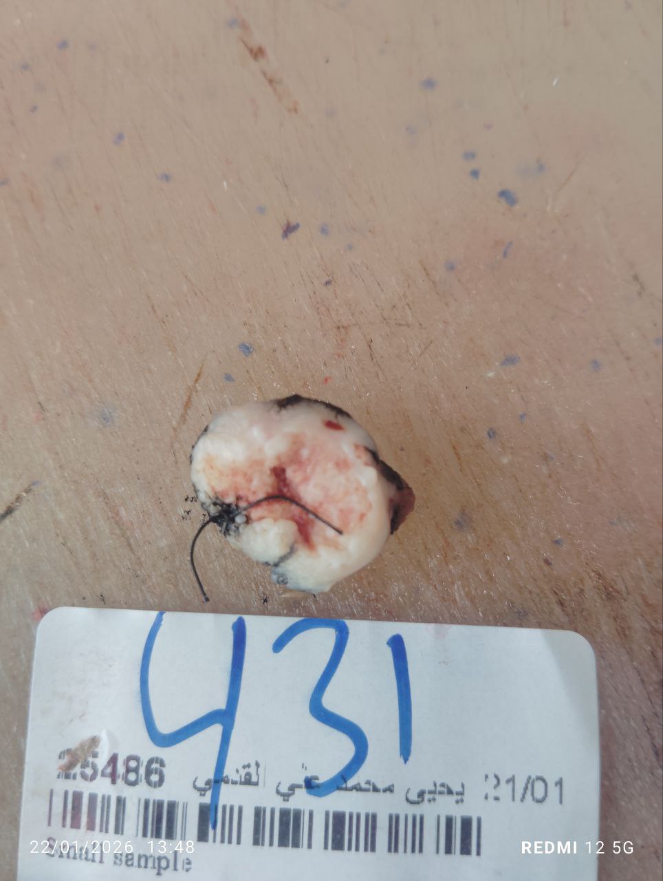 صورة التقرير