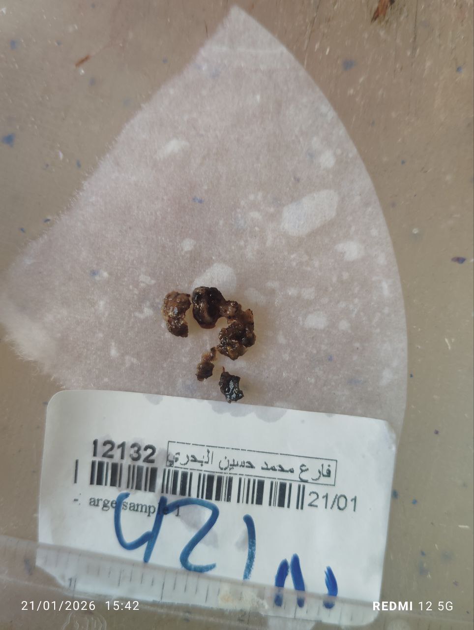 صورة التقرير