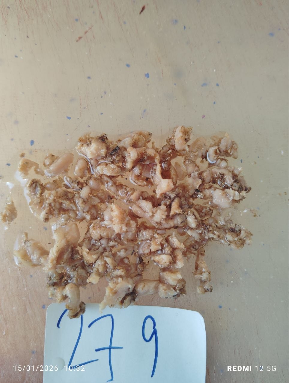 صورة التقرير