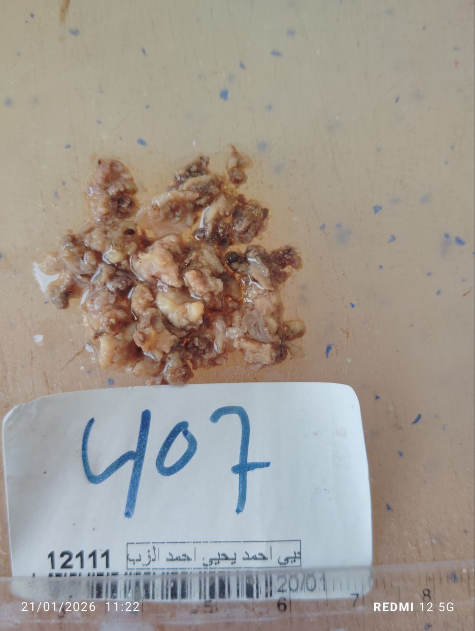 صورة التقرير