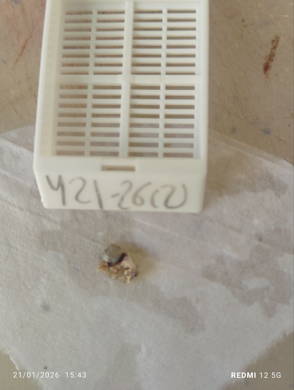 صورة التقرير