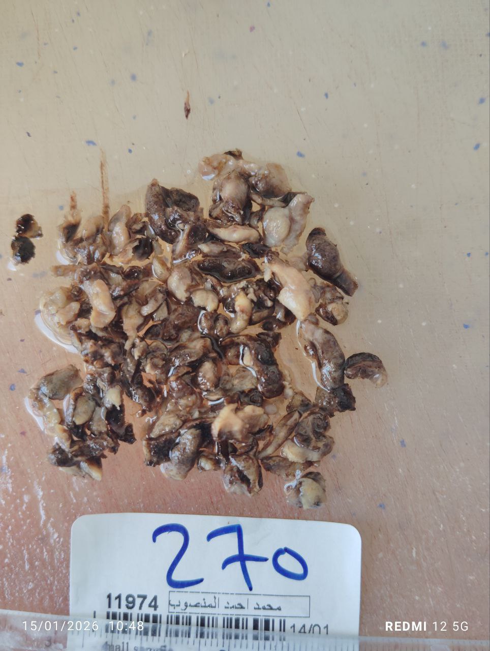 صورة التقرير