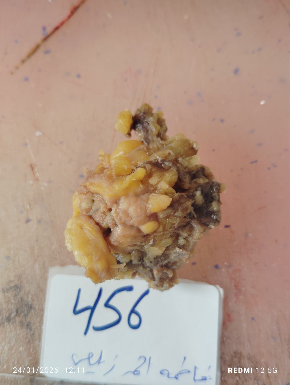 صورة التقرير