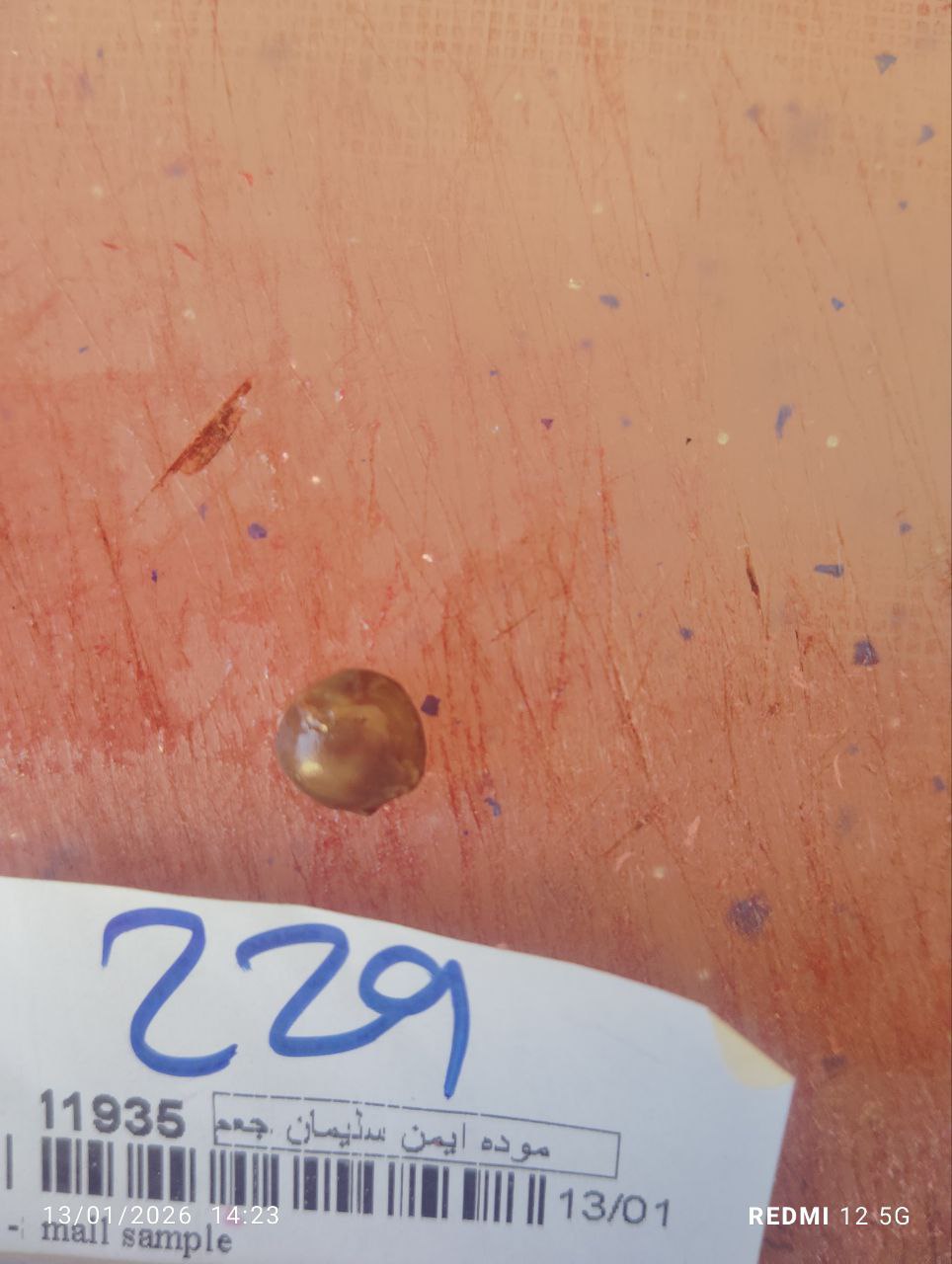 صورة التقرير