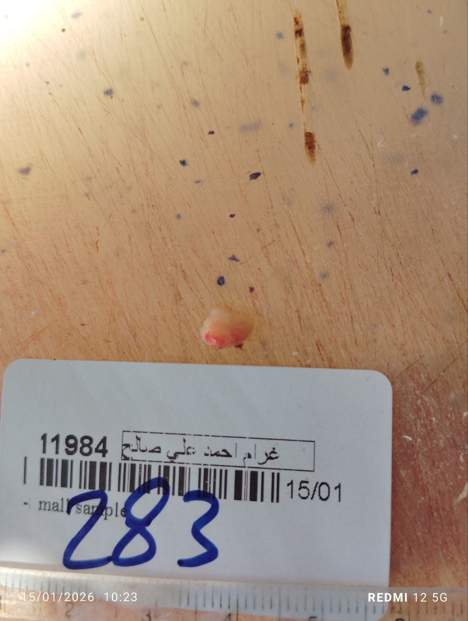 صورة التقرير